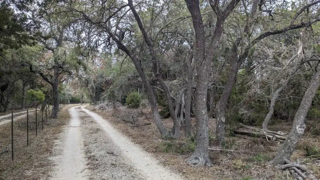 PXL_20231010_130051314