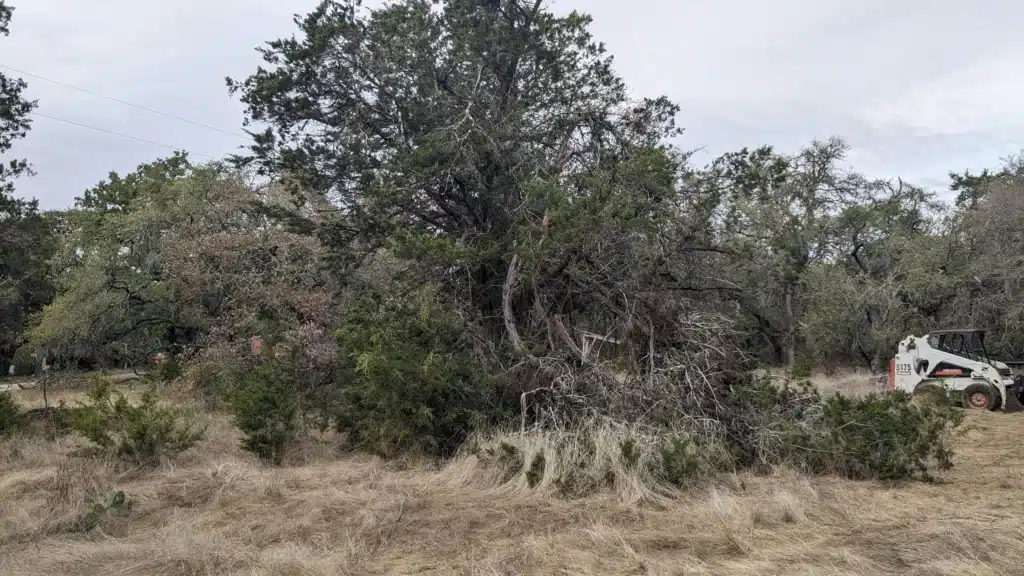 PXL_20231010_130231628