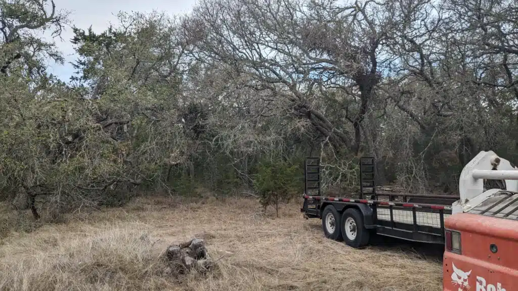 PXL_20231010_130343585