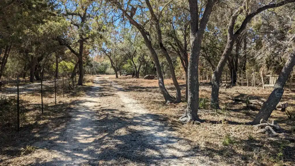 PXL_20231016_171423277