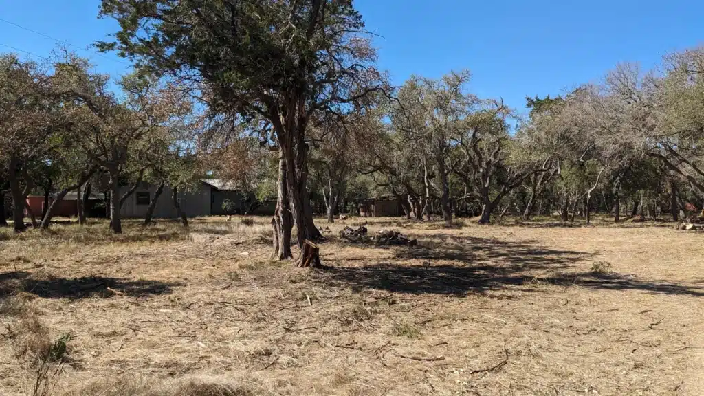 PXL_20231016_171809769