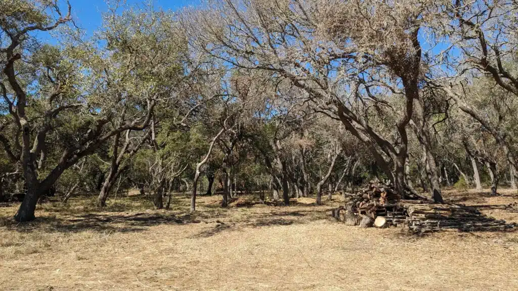 PXL_20231016_171934414