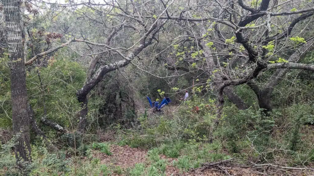 PXL_20240312_142053701