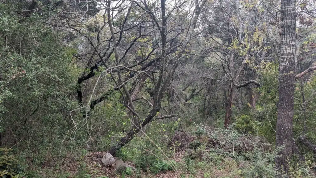 PXL_20240312_142105599