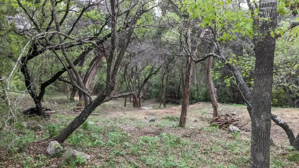 PXL_20240318_222434276