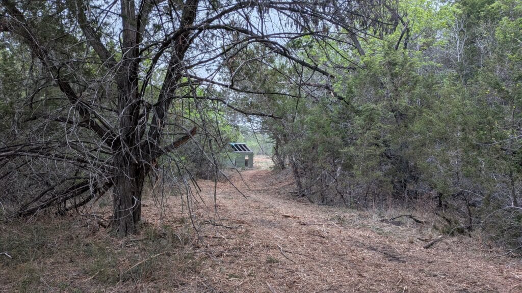 Forestry mulched Hill Country property with cleared brush, retained mature trees, and a visible access route